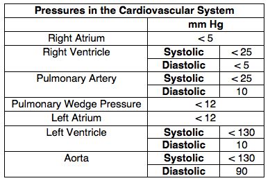 normal lv systolic pressure